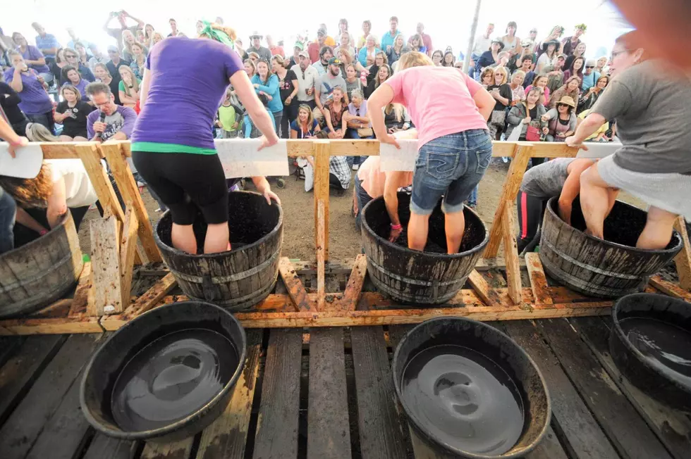 Carlos Creek Grape Stomp & Fall Fest Just Around the Corner