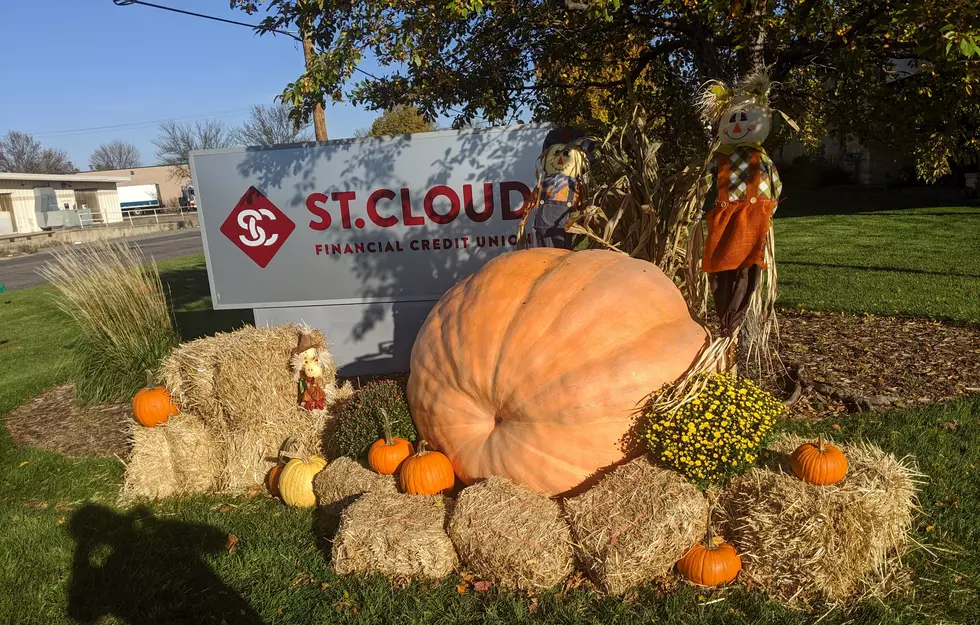 This Giant Pumpkin Just Arrived in St. Cloud