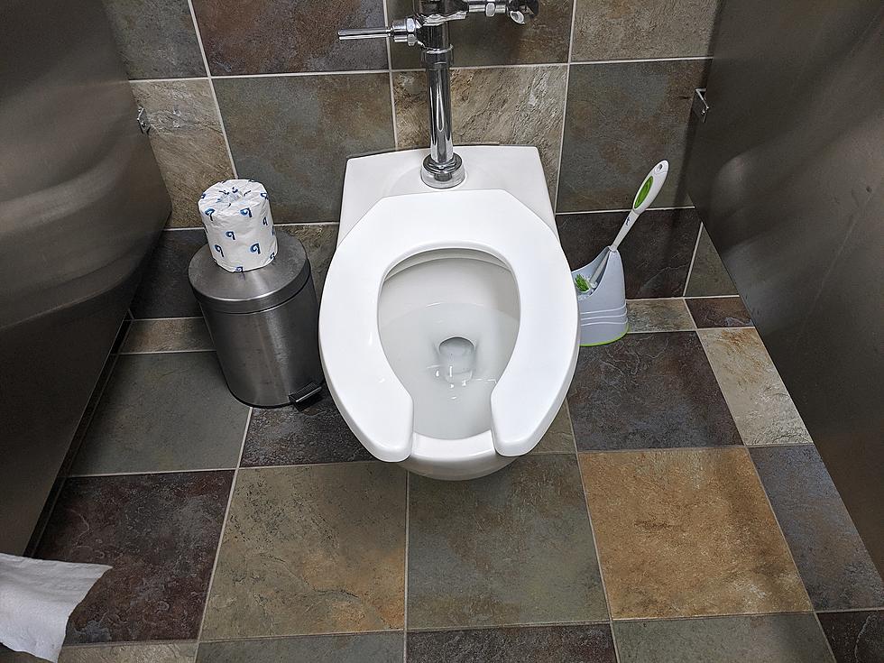 The Reason Public Toilet Seats are U-Shaped