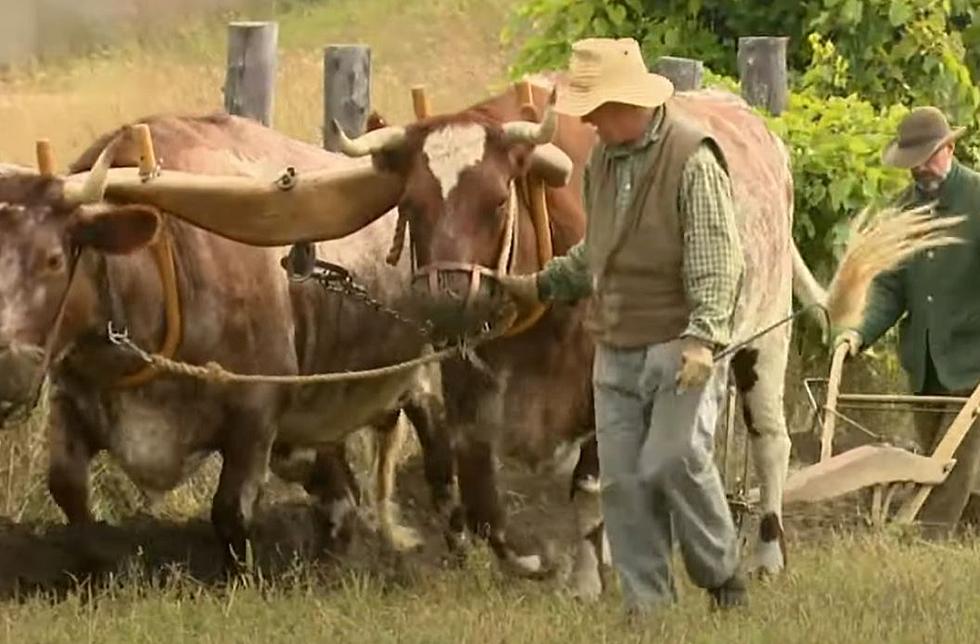 The Oliver Kelley Farm to Open Next Weekend