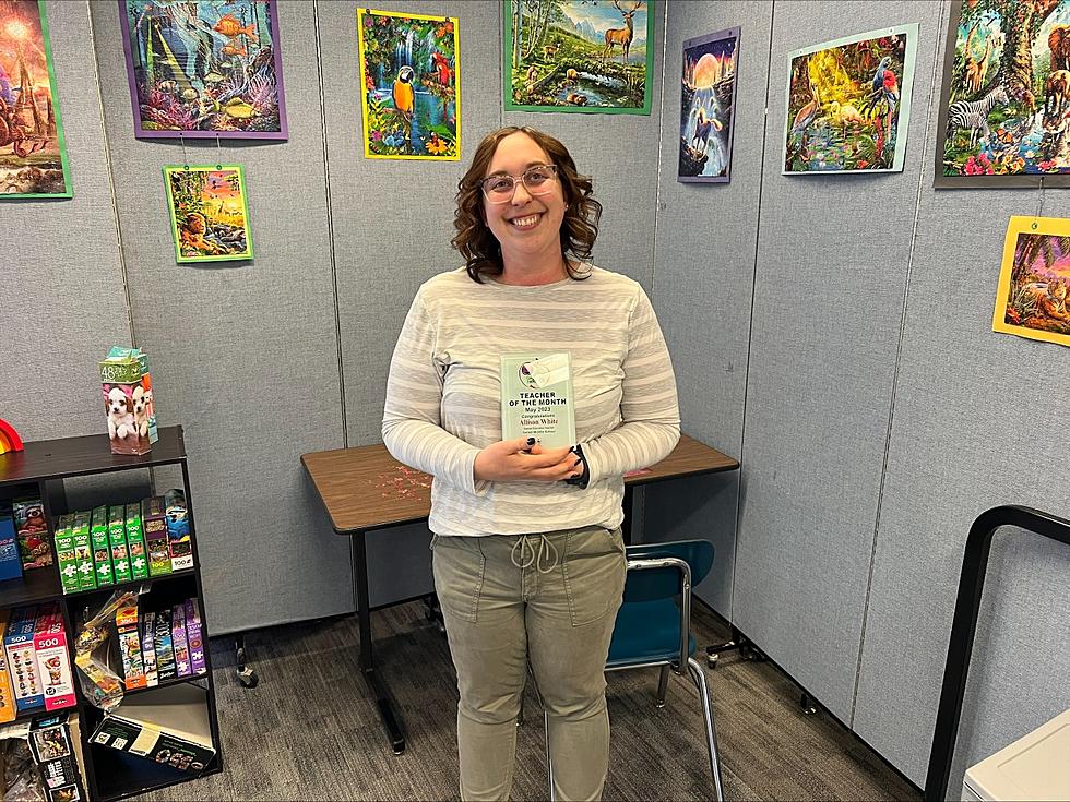May Teacher Of The Month: Allison White, Sartell Middle School