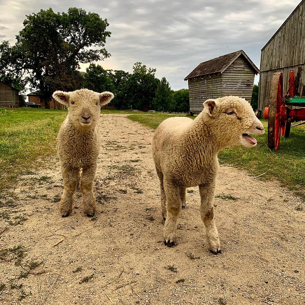 Elk River’s Oliver Kelley Farm To Host Unique Halloween Event