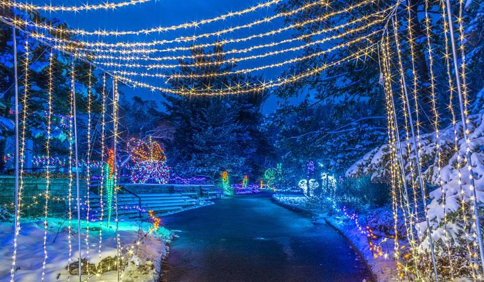 Minnesota Arboretum To Host ‘Date Nights At Winter Lights’ – No Kids Allowed!