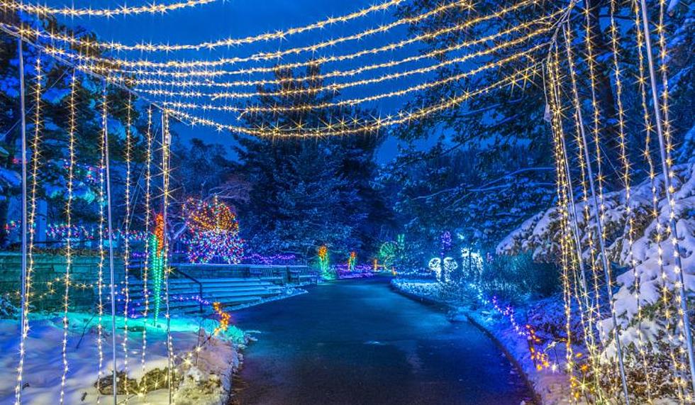 Minnesota Arboretum To Host &#8216;Date Nights At Winter Lights&#8217; &#8211; No Kids Allowed!