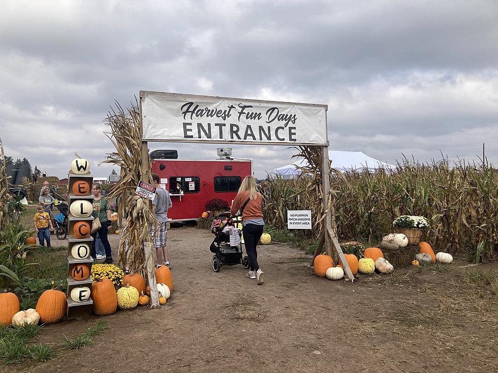 Take A Tour Of Stoney Brook Farms In Foley &#8211; Featuring Minnesota&#8217;s LARGEST Corn Maze