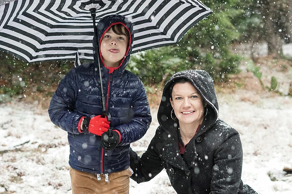 It's A Winter Celebration Designed for Minnesota Families
