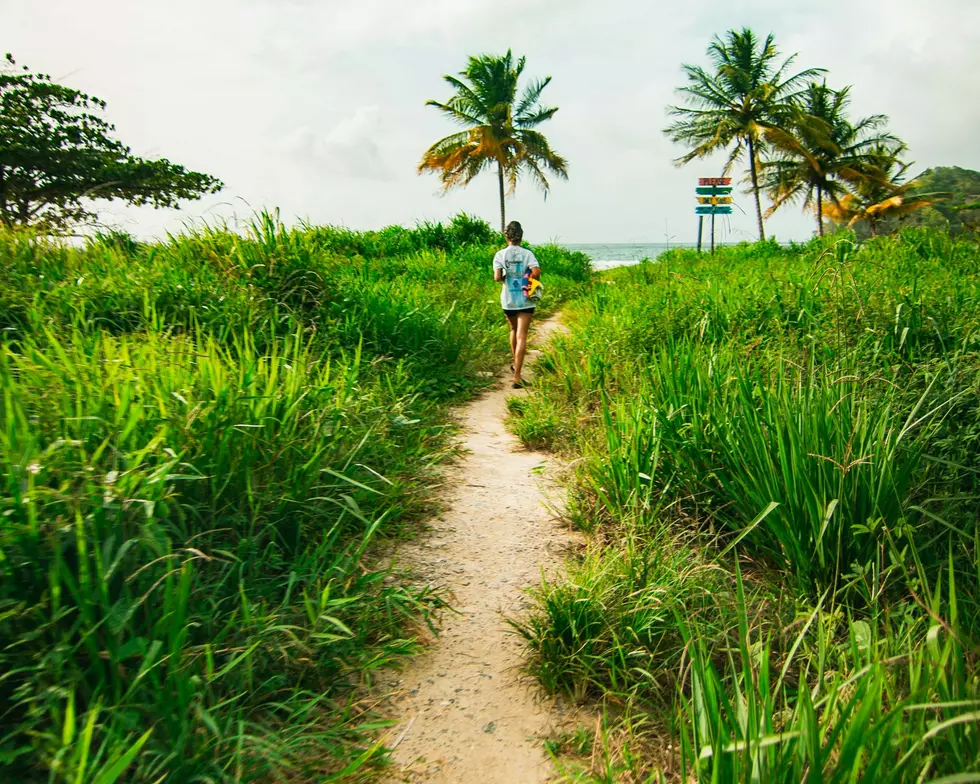 Photo by Jono Hirst on Unsplash