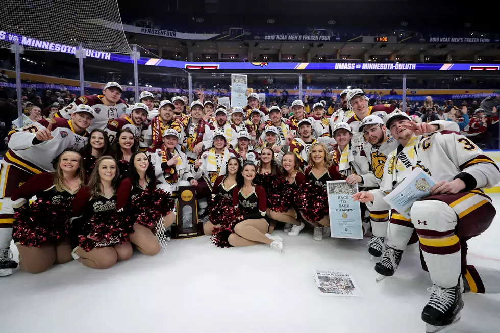 2019 NCAA Division I Men's Ice Hockey Championships