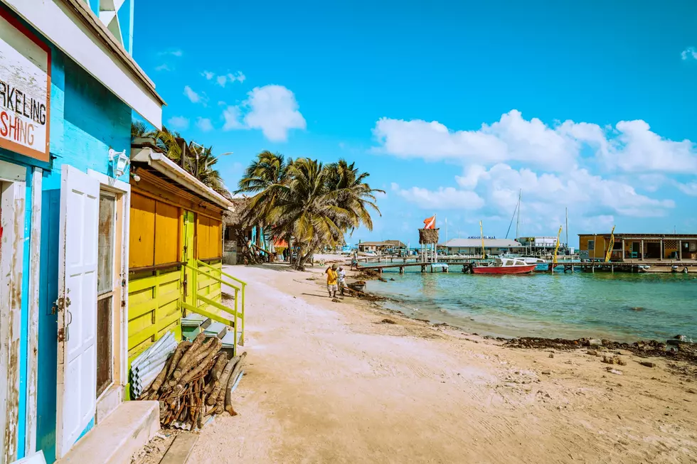Photo by Meritt Thomas on Unsplash