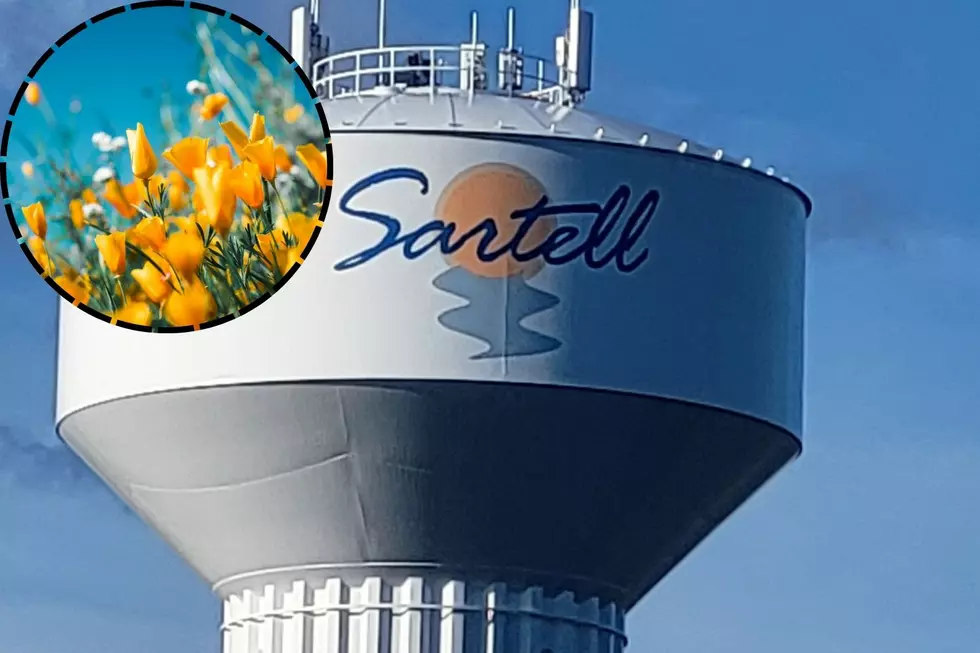You&#8217;re Invited To A Fun Spring Event In Sartell