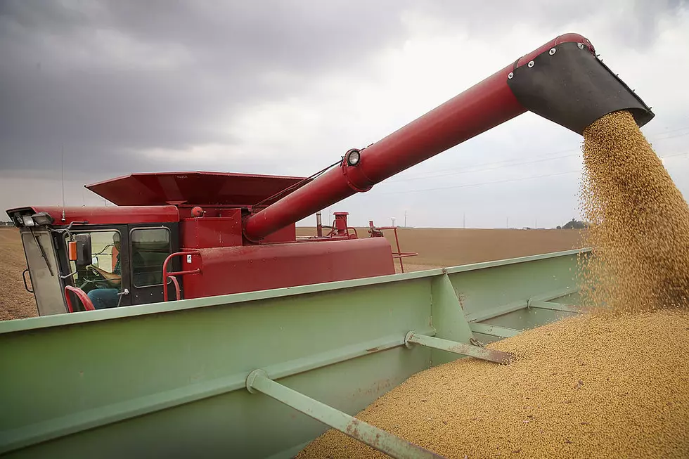 U.S. Farm Earnings Drop 14.6 Percent In Third Quarter AFter A Decline In Output