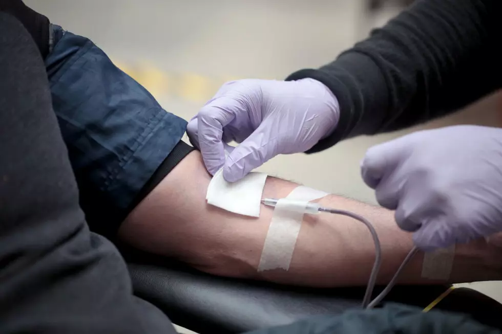 Chicago's Field Museum Of Natural History Hosts Blood Drive Amid COVID-19 Crisis
