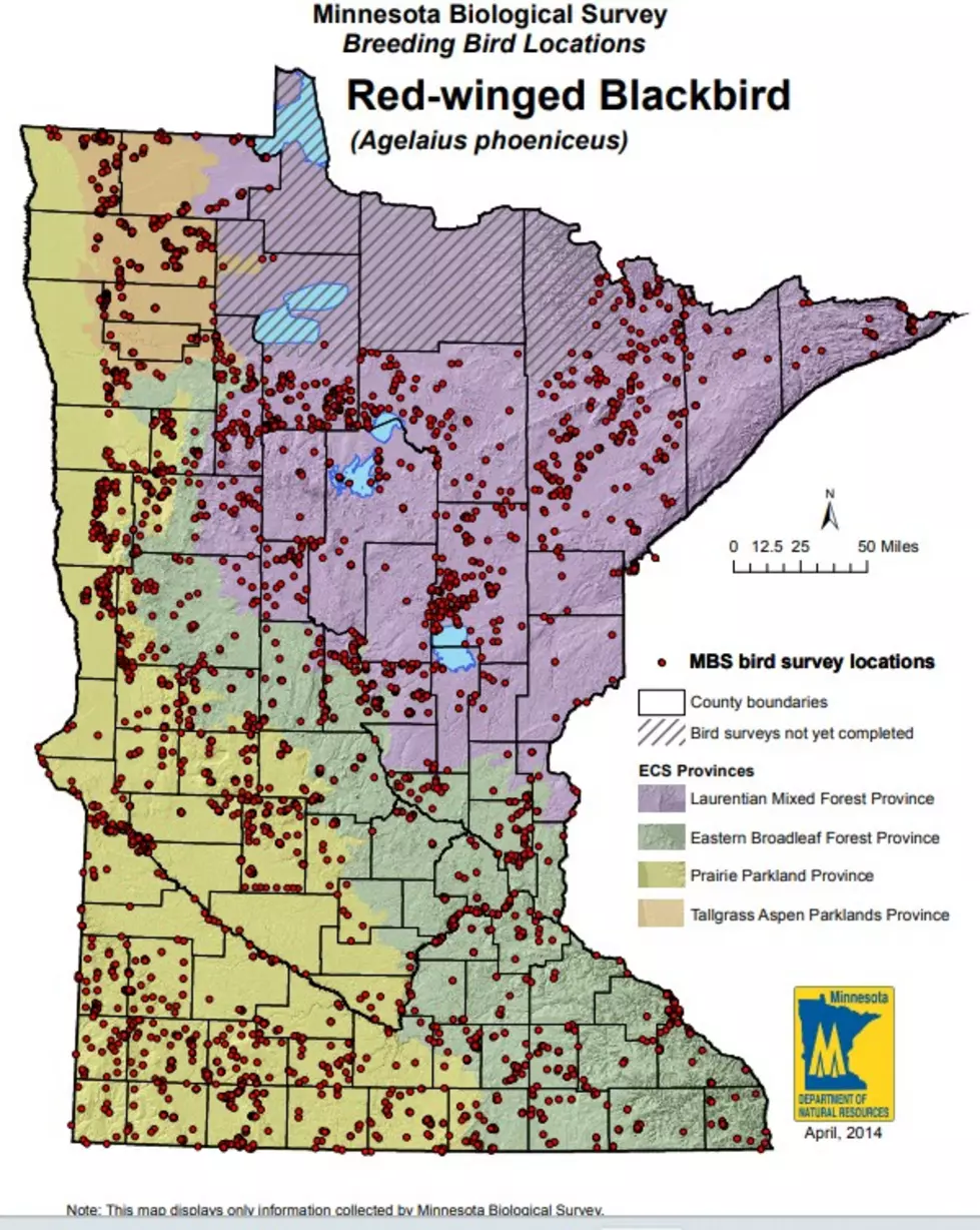 Photo Credit: Minnesota Department of Natural Resources