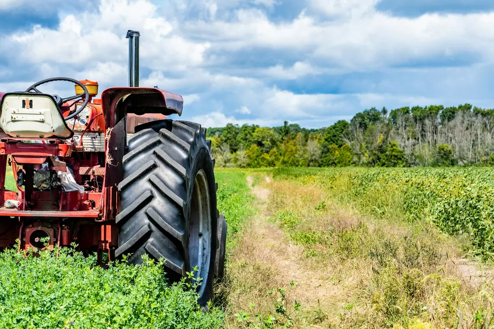 Grants Help New Minnesota Farmers Tackle Challenges