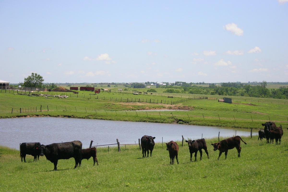 Help Is On The Way For Minnesota Farmers Hit By Severe Weather