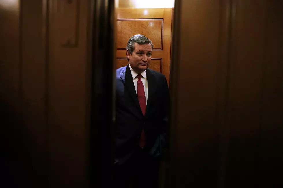 Ted Cruz’s Twitter Account Liked A Porn Video Late Last Night