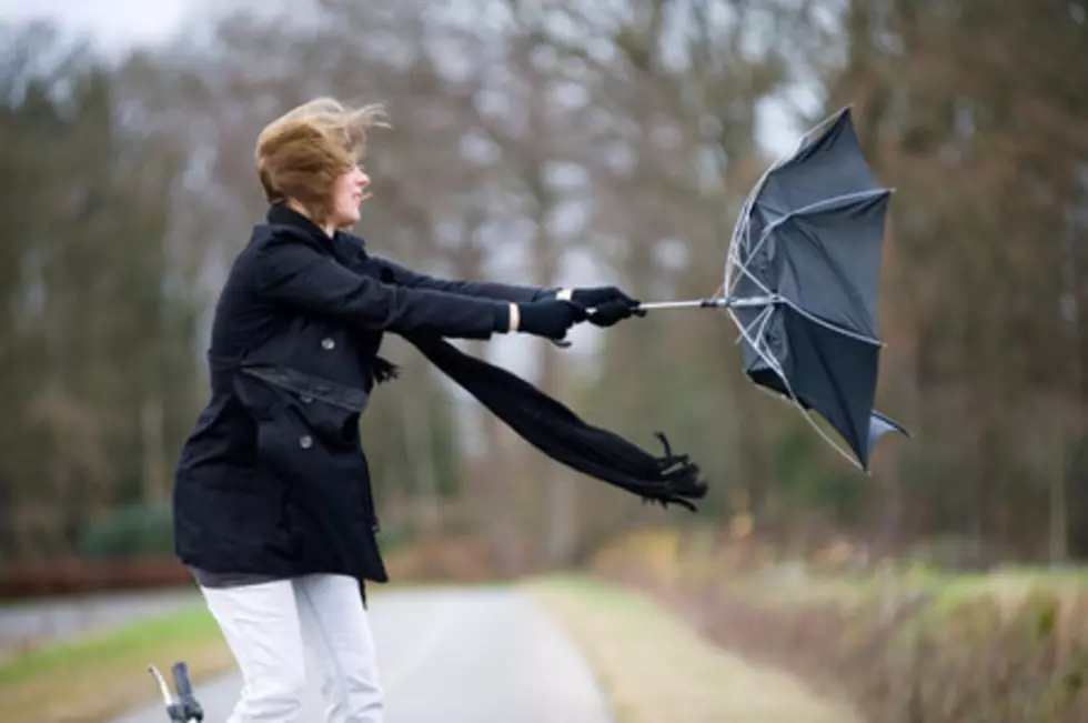 Watch Out For Power Outages, Downed Trees and Power Lines