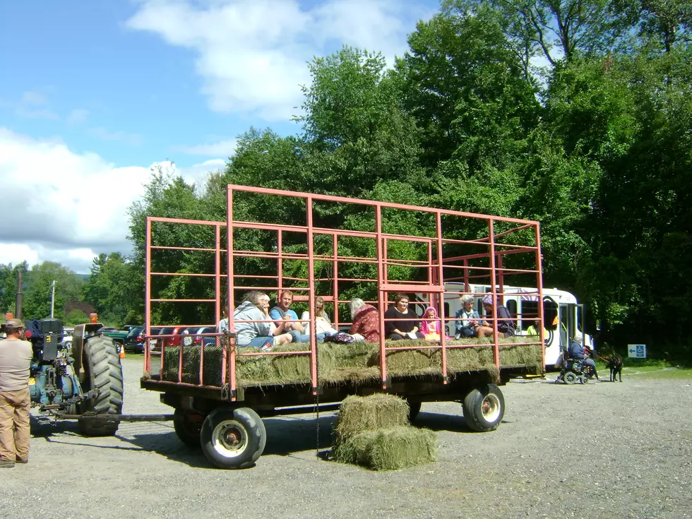 Free & Fun? It Must Be The Sheffield Fair (past photos)