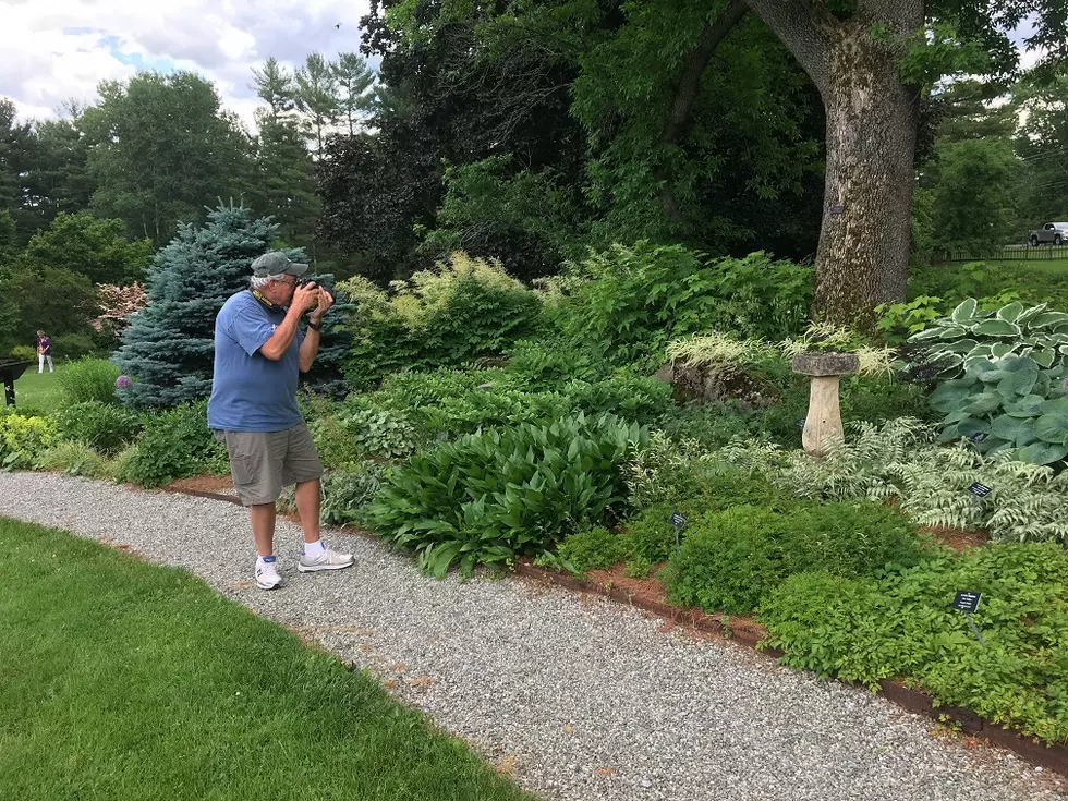 Experience Gardens Through Photography