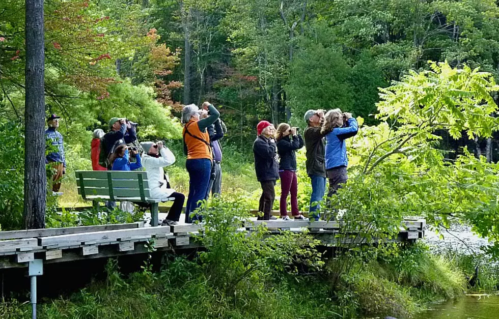 Celebratory Events At Local Wildlife Sanctuary