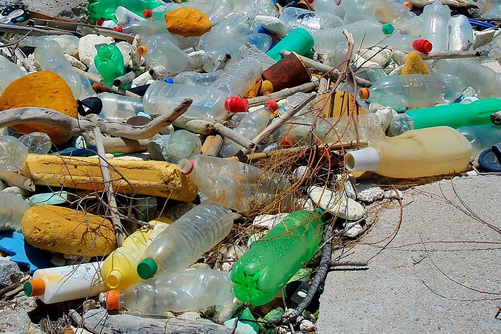 Plastic Free July is The Topic of Green Drinks Gathering