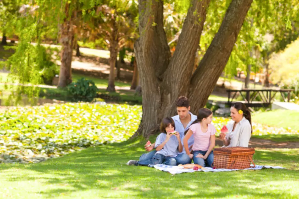 As Summer Sets In, It&#8217;s Time For A Berkshire Style Picnic!