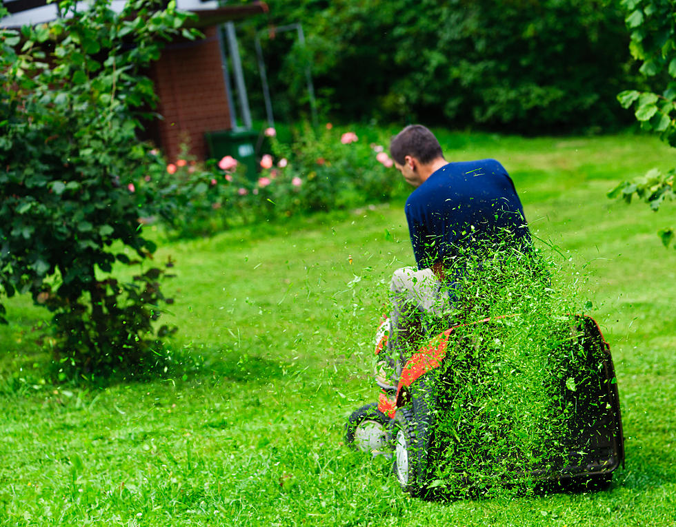 Did You Know These Five Strange Massachusetts Laws About Lawnmowers?