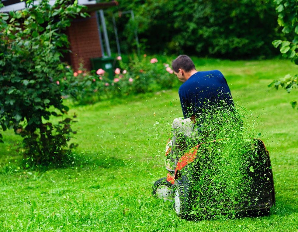 This Massachusetts City Named Worst for Grass Allergies in the U.S.