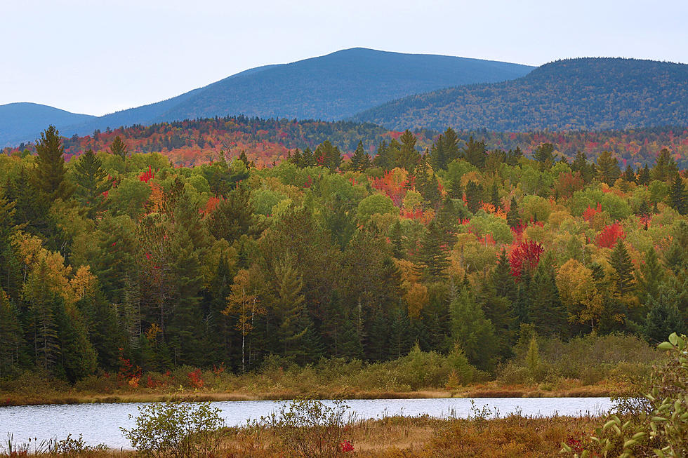 A Final Opportunity To Par Take In Some &#8220;Leaf Peeping&#8221;