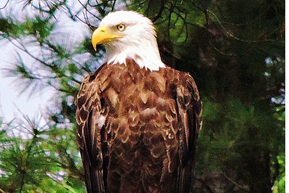 A Rare And Unique Discovery Located Just East Of The Berkshires