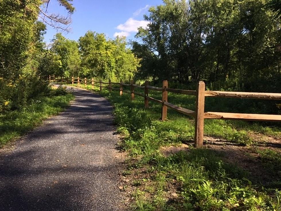 Popular Berkshire County Trail will Be Getting a Clean-Up Treatment Soon