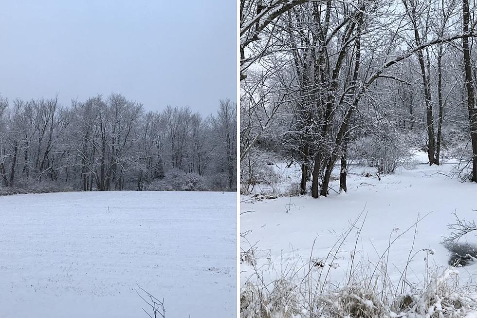 16 Breathtaking Photos of Freshly Fallen Snow in the Berkshires