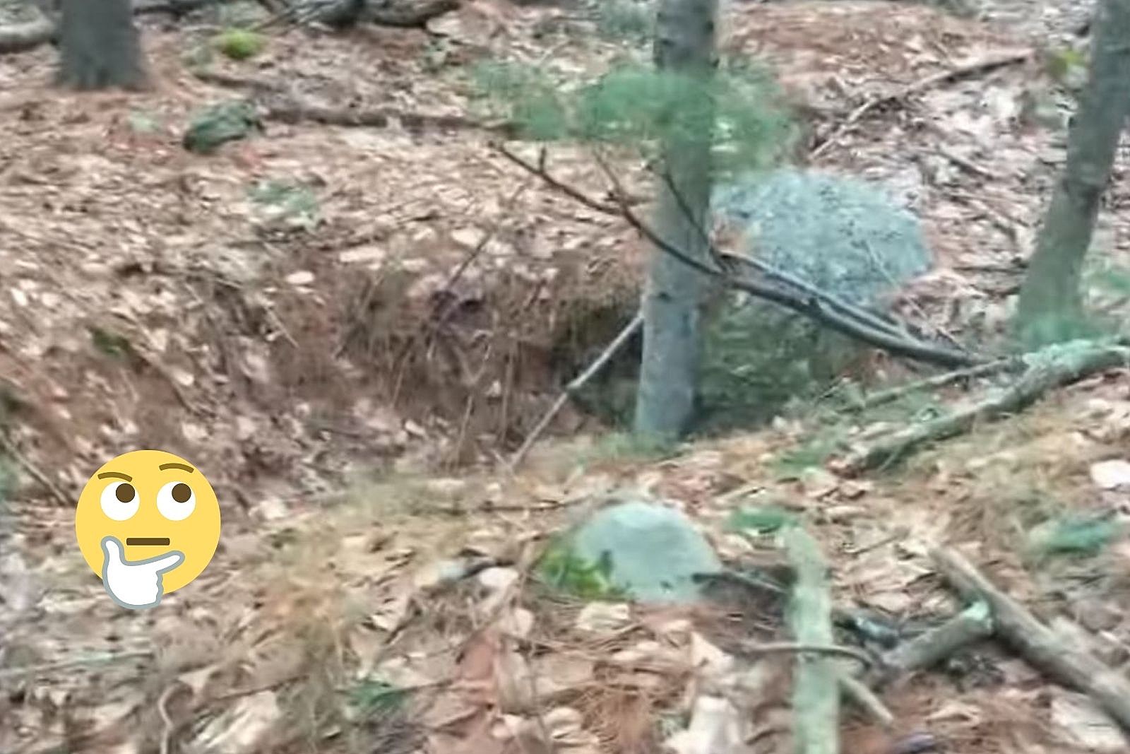 What are These Strange Holes in These New England Woods? (VIDEO)