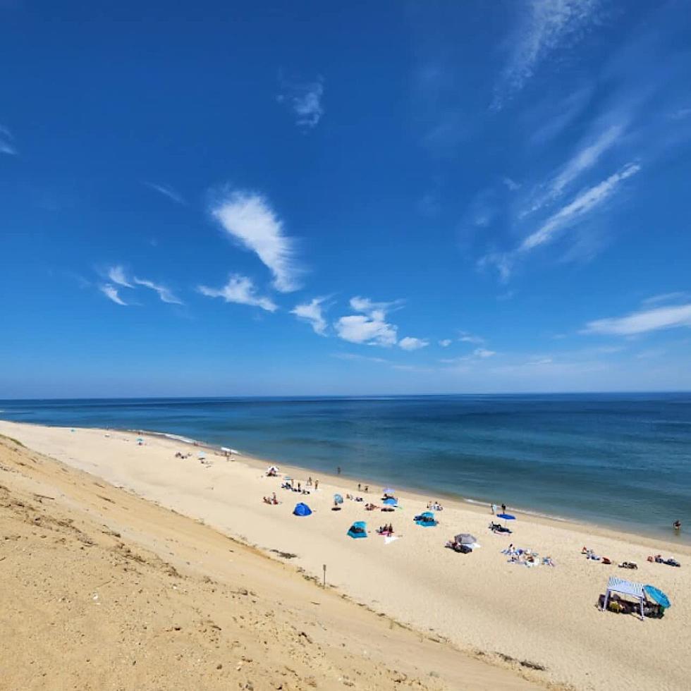 Cape Cod Tourists May be in for a Big Surprise This Summer