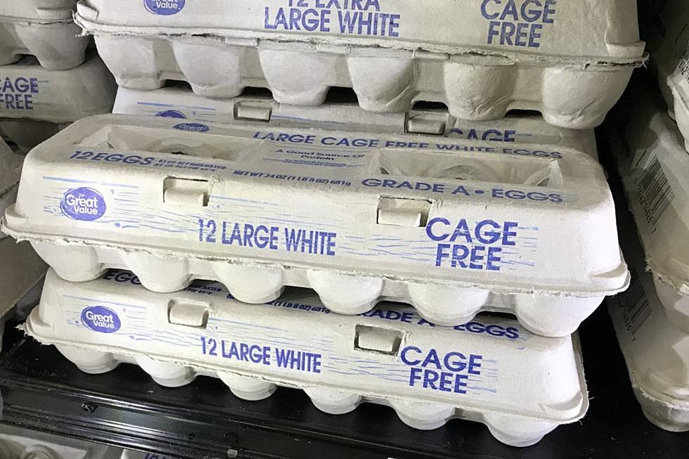 Is This the Cheapest Place to Buy Eggs in Massachusetts for Spring 2023?