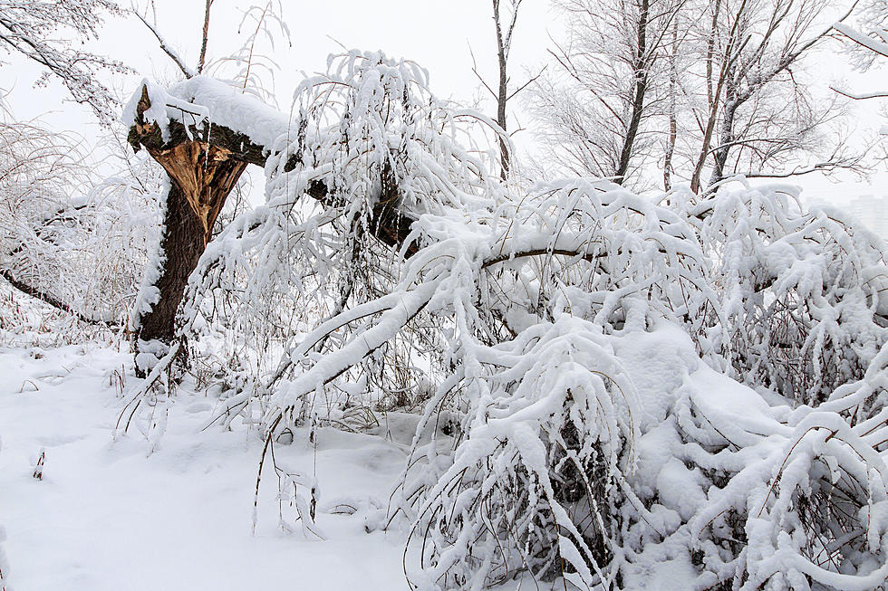 Could Snow Come to Western Massachusetts in October 2023?