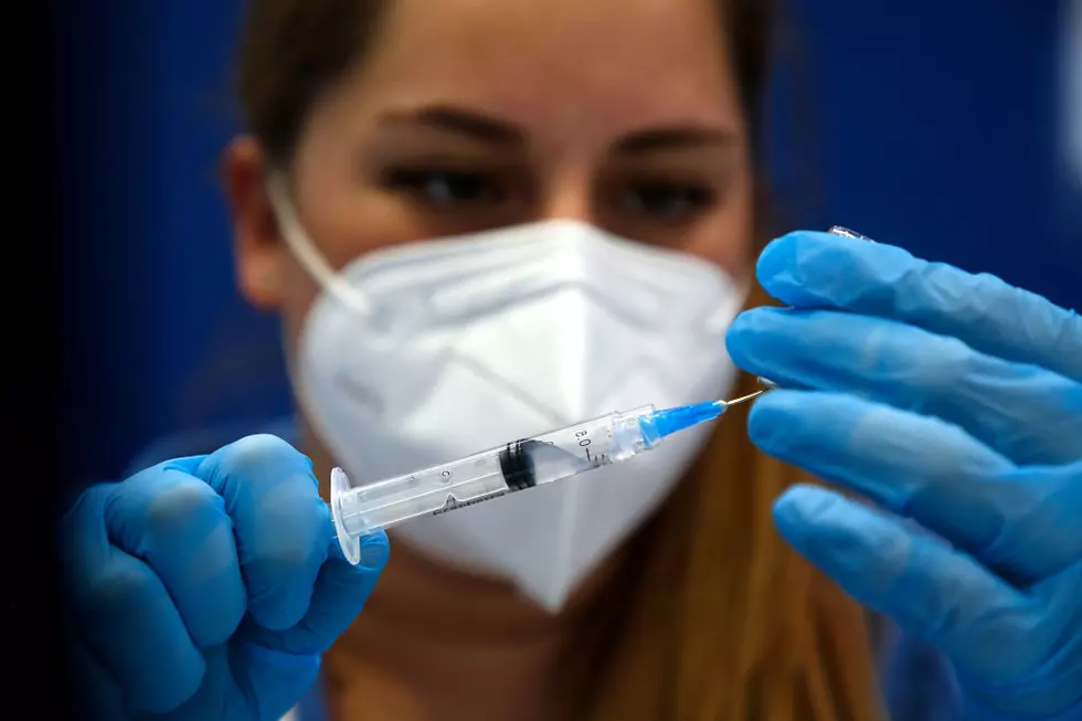 Berkshires Have Highest Percentage Of Vaccinated Residents