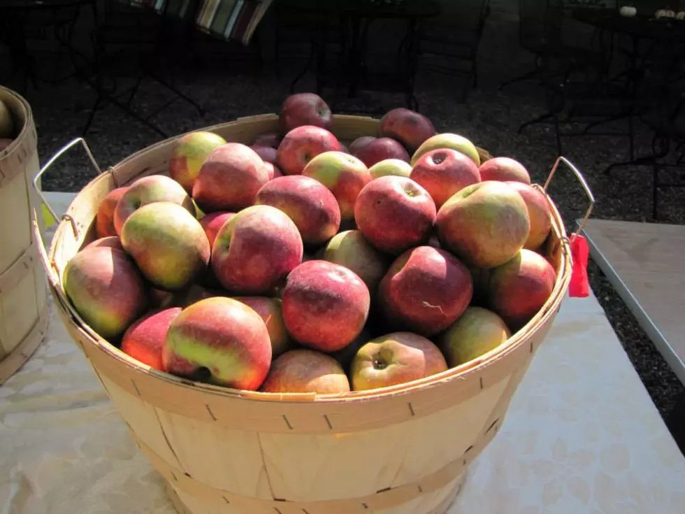 Guide to this Weekend's Lenox Apple Squeeze
