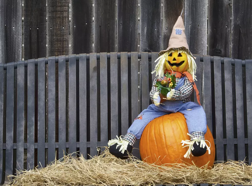 Halloween in the Berkshires: Warmer Weather in Store