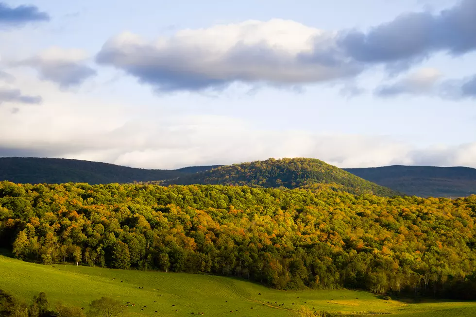 10 Stunning Family Friendly Fall Foliage Hikes in The Berkshires
