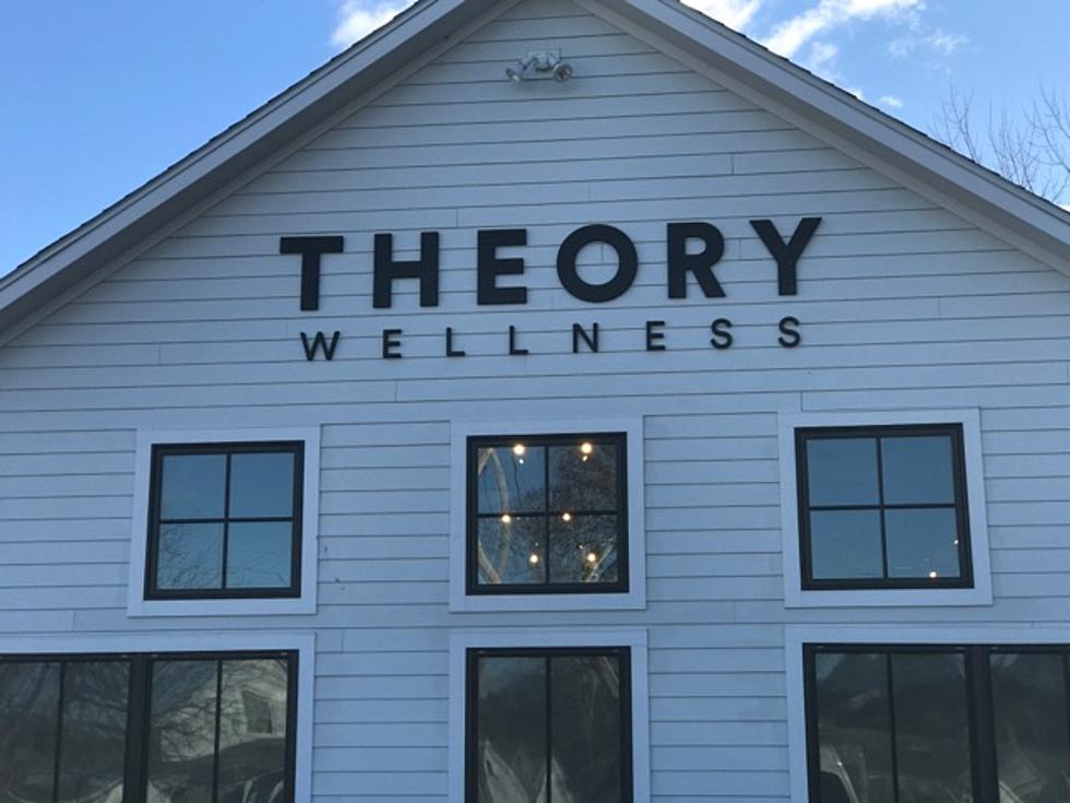 Theory Wellness Enters Cannabis Beverage Market