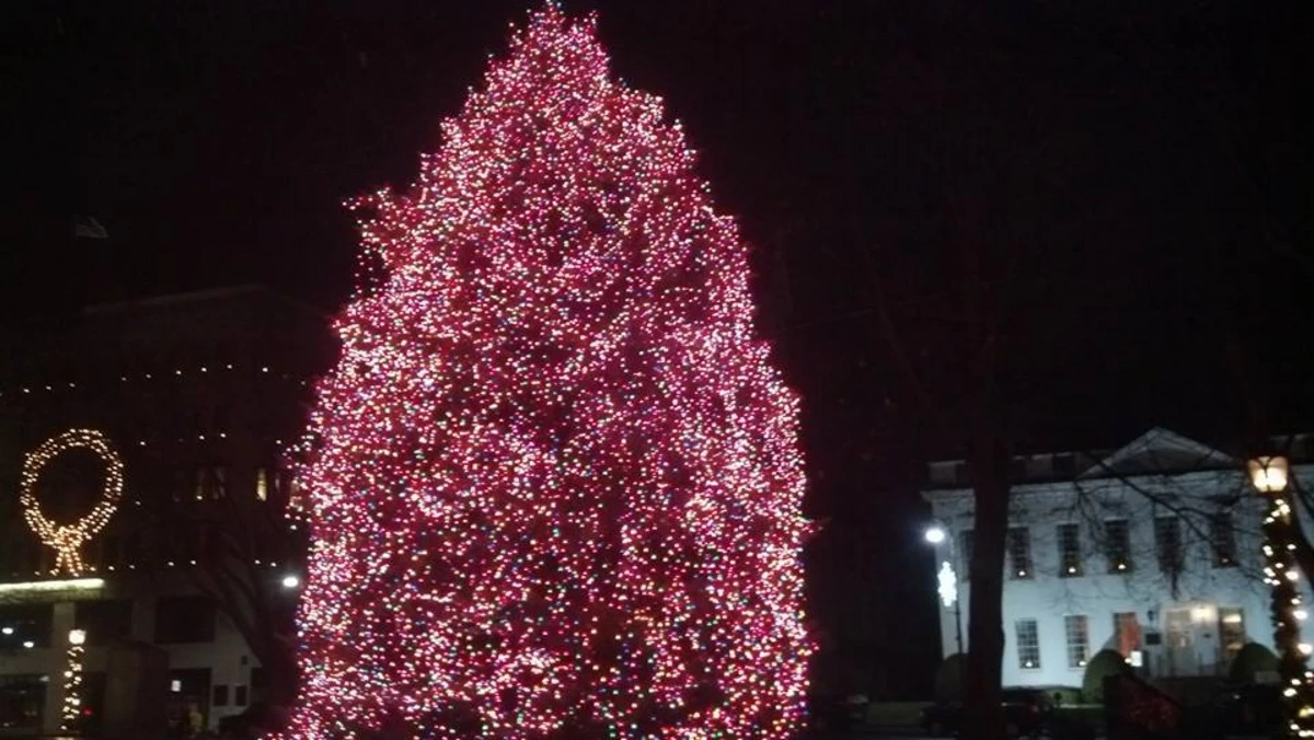 Everything You Need to Know About the Pittsfield Tree Lighting