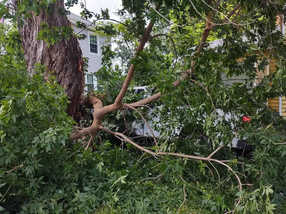 Elm St. Re-Open After Vehicle Collides with Building 