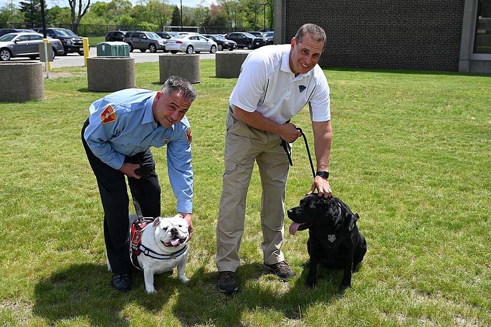 Boston Fire &#038; MA State Trooper Crisis Dogs Meet &#038; Greet