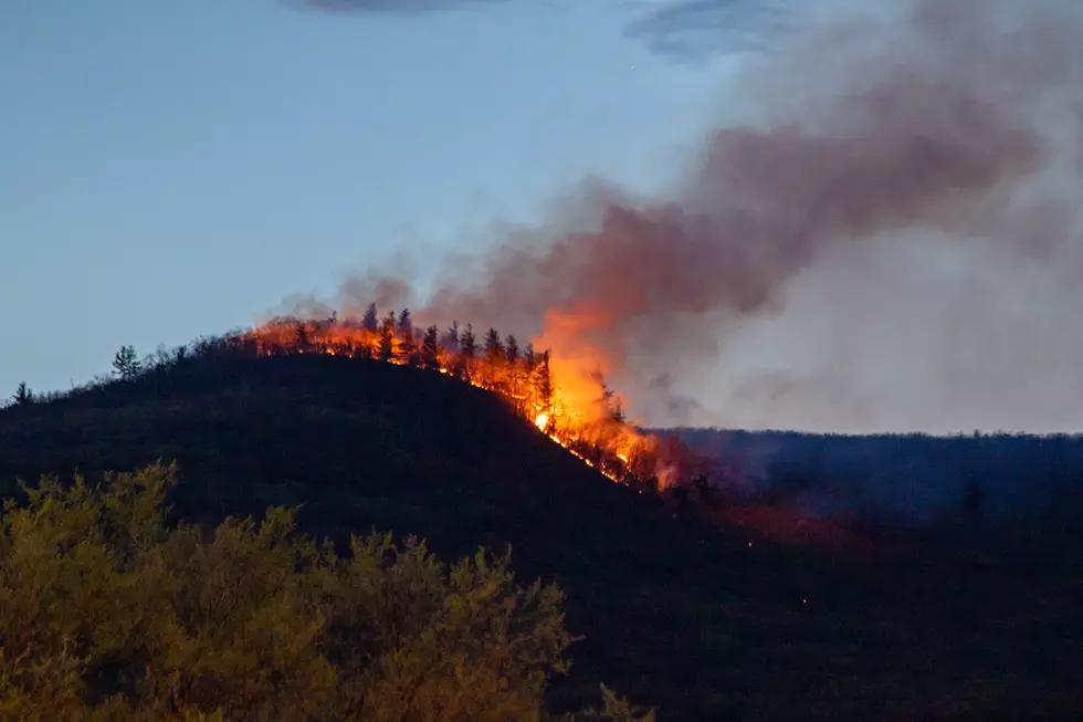 Now 750 Acres Wide, Firefighters Continue To Battle Williamstown Wildfire