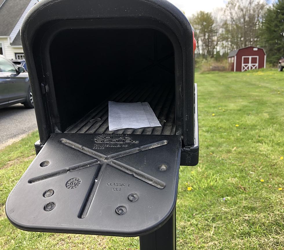 Here's Why You Should Leave A Dryer Sheet In Your Mailbox
