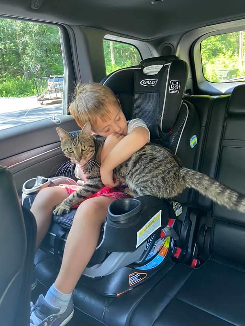Pittsfield Family Reunited with Missing Cat After Two Months