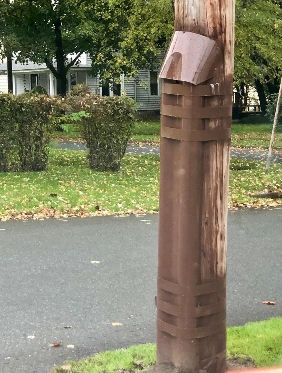 What is the New Brown Metal Casing on Pittsfield&#8217;s Utility Poles?