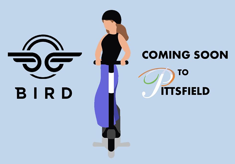 Electric Scooter Rental &#8216;Bird&#8217; Coming To Pittsfield In April