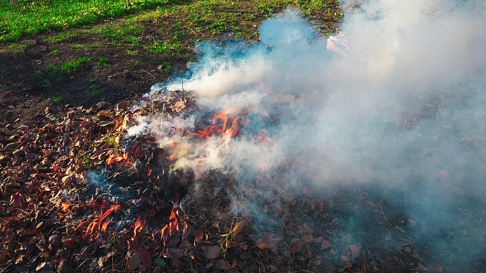 Can You Burn Leaves During Open Burning Season In Massachusetts?